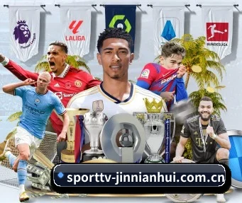 sporttv-jinnianhui.com.cn APP